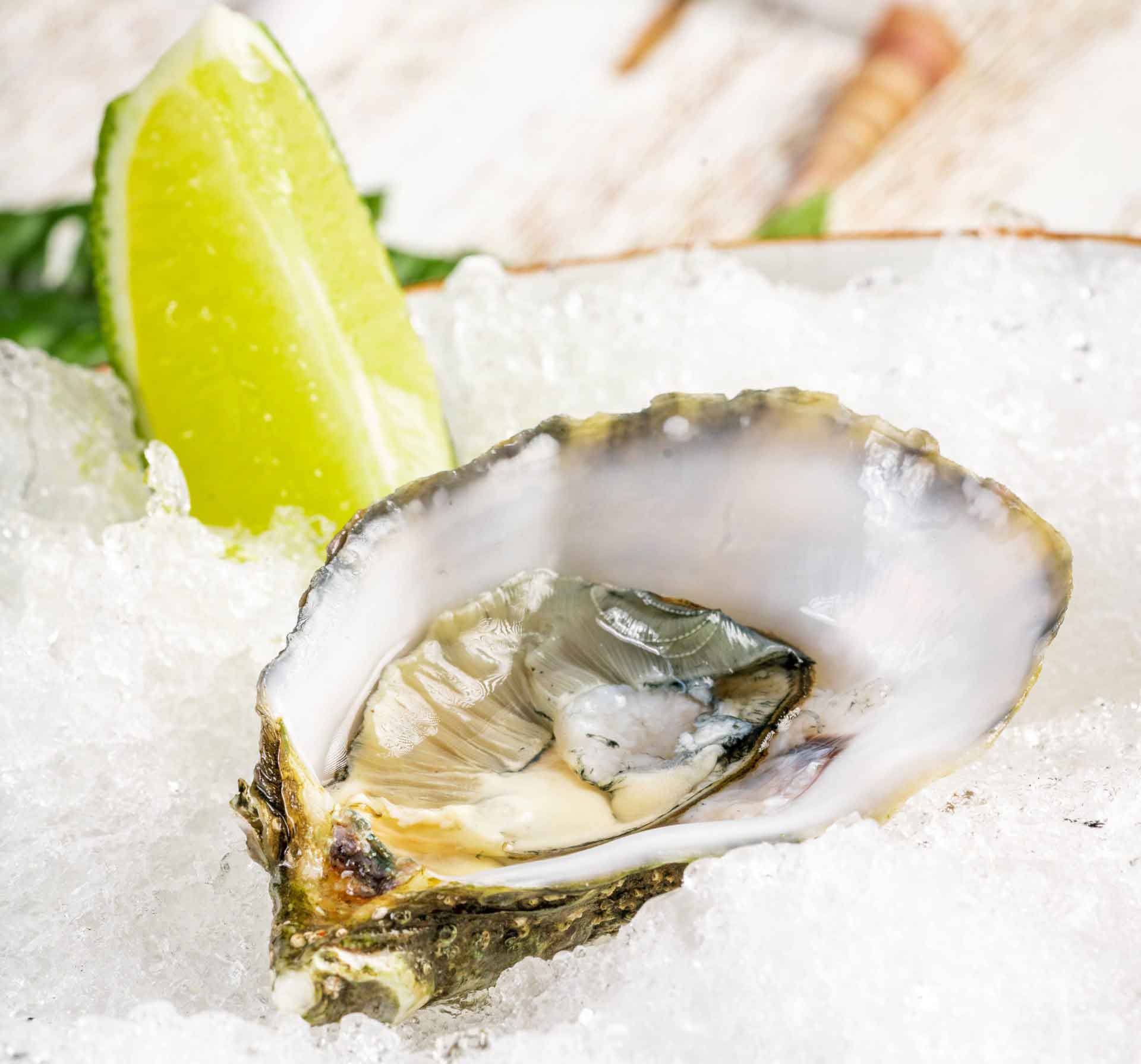 Raw Bar: Myths and Facts about this delicious seafood