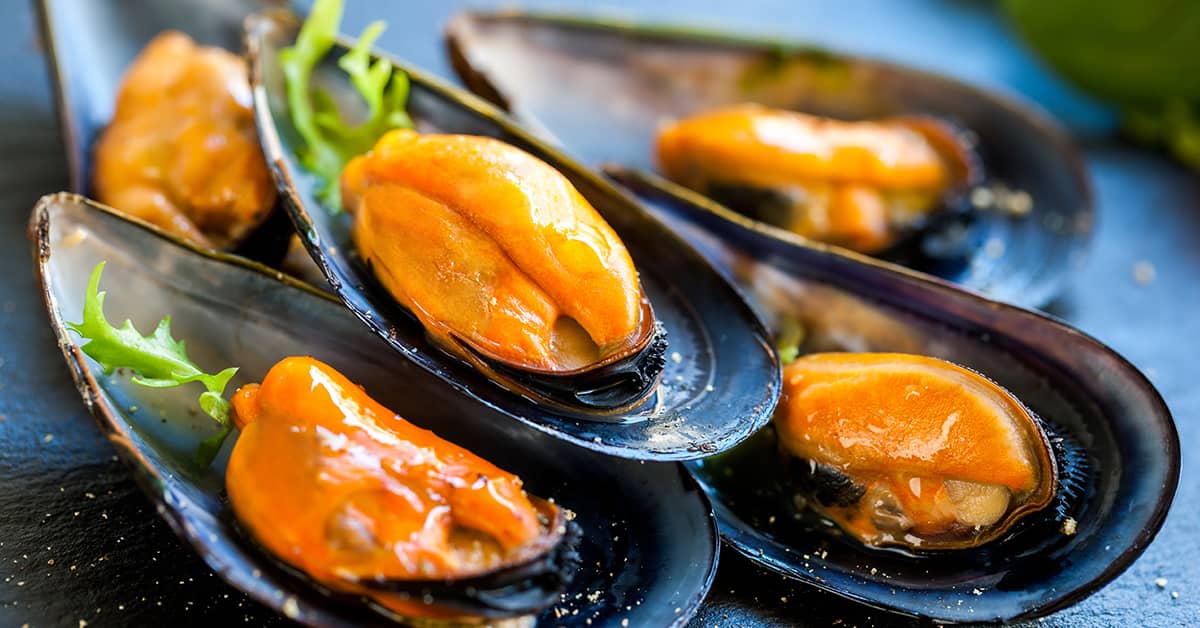 Seafood that you cannot miss in this quarantine
