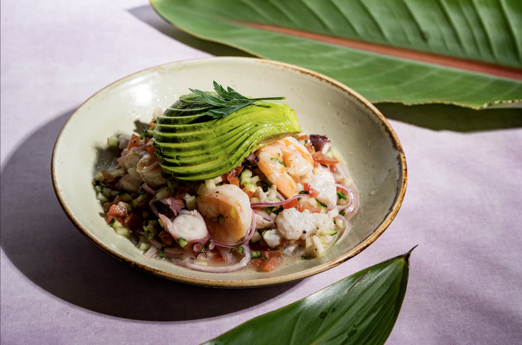 Savor the Flavors: Must-Try Dishes at Fred’s Seafood and Raw Bar