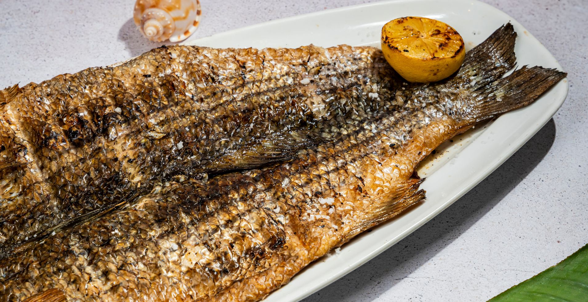 Healthy Eating in Cancun: Discover the Benefits of Fresh Fish at Fred’s