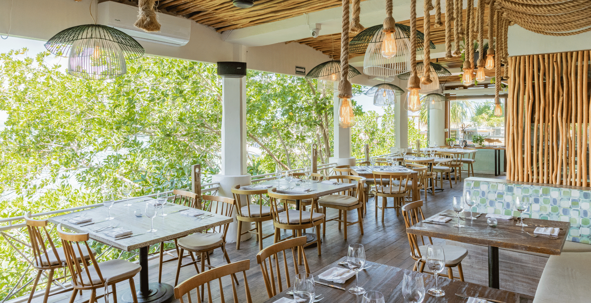 Why Fred’s Is the Perfect Place to Celebrate Special Moments in Cancun
