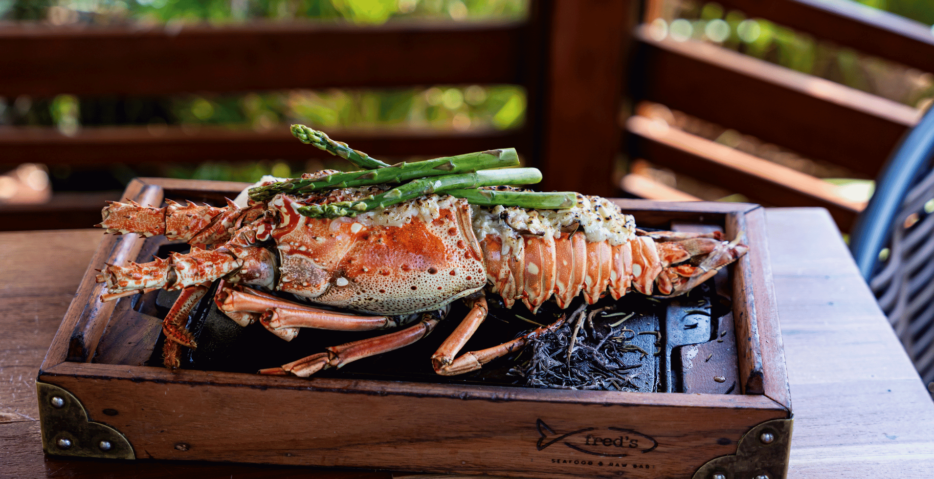 7 Exquisite Ways to Enjoy Lobster in Cancun: Fred’s Signature Menu