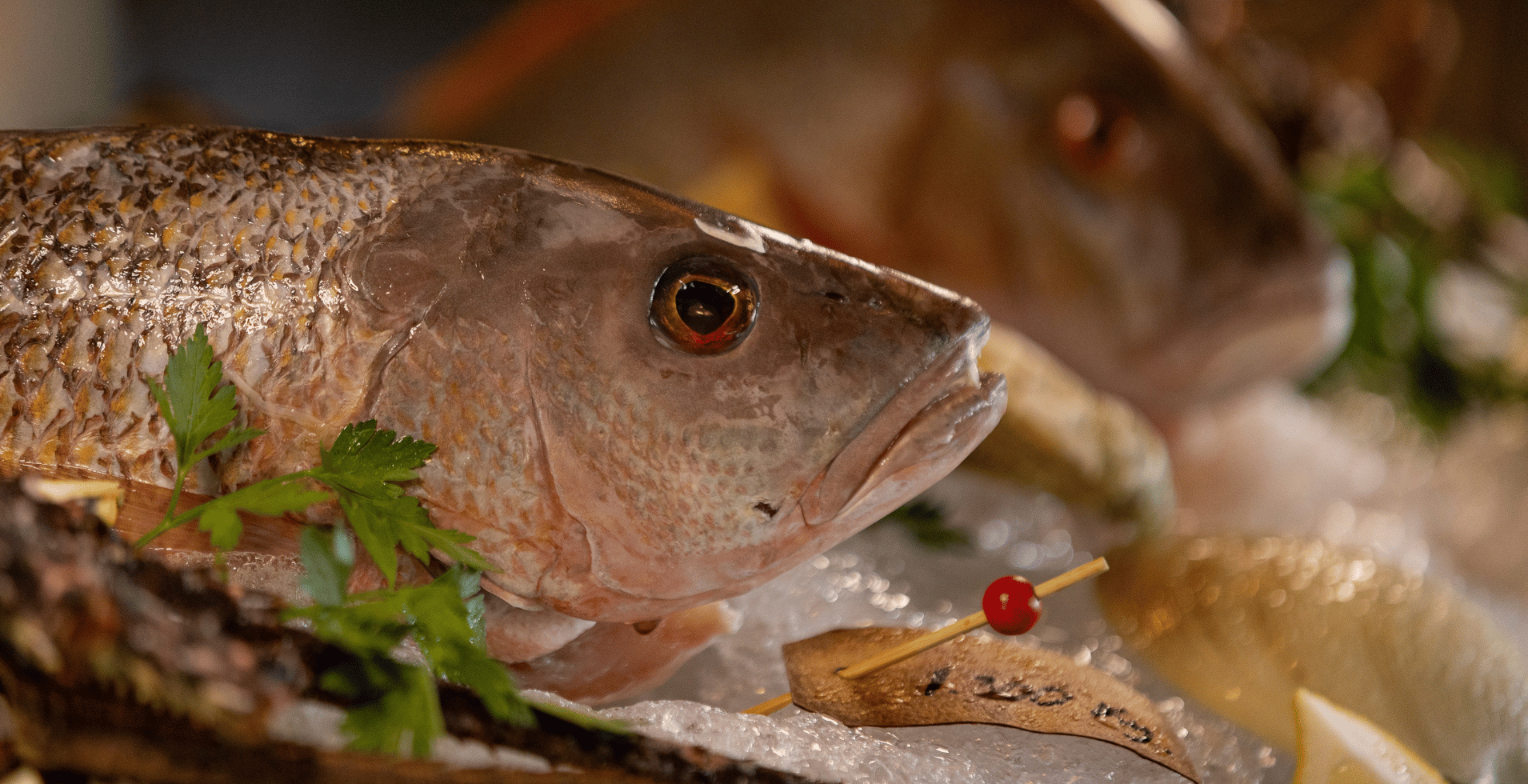 Fresh or Grilled Seafood? What to Order in Cancun Based on Your Taste