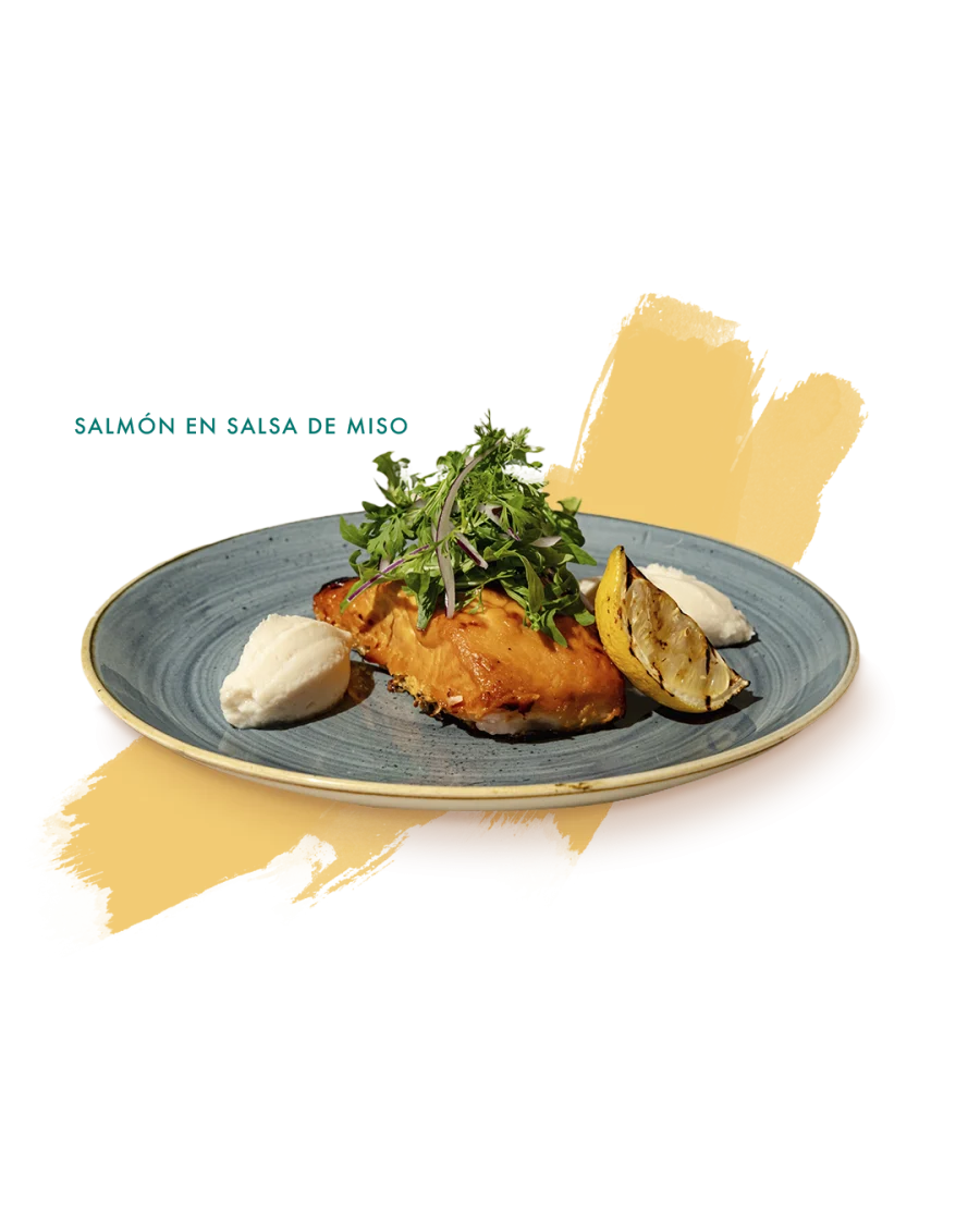 SALMON IN MISO SAUCE