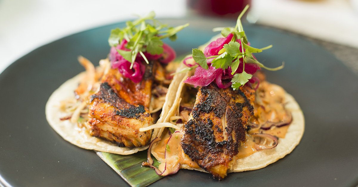 Las mejores recetas del mar en la cultura maya