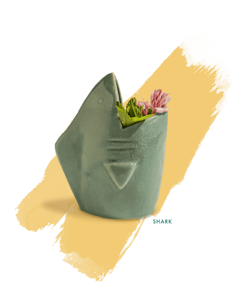 freds-restaurante-mixologia-shark