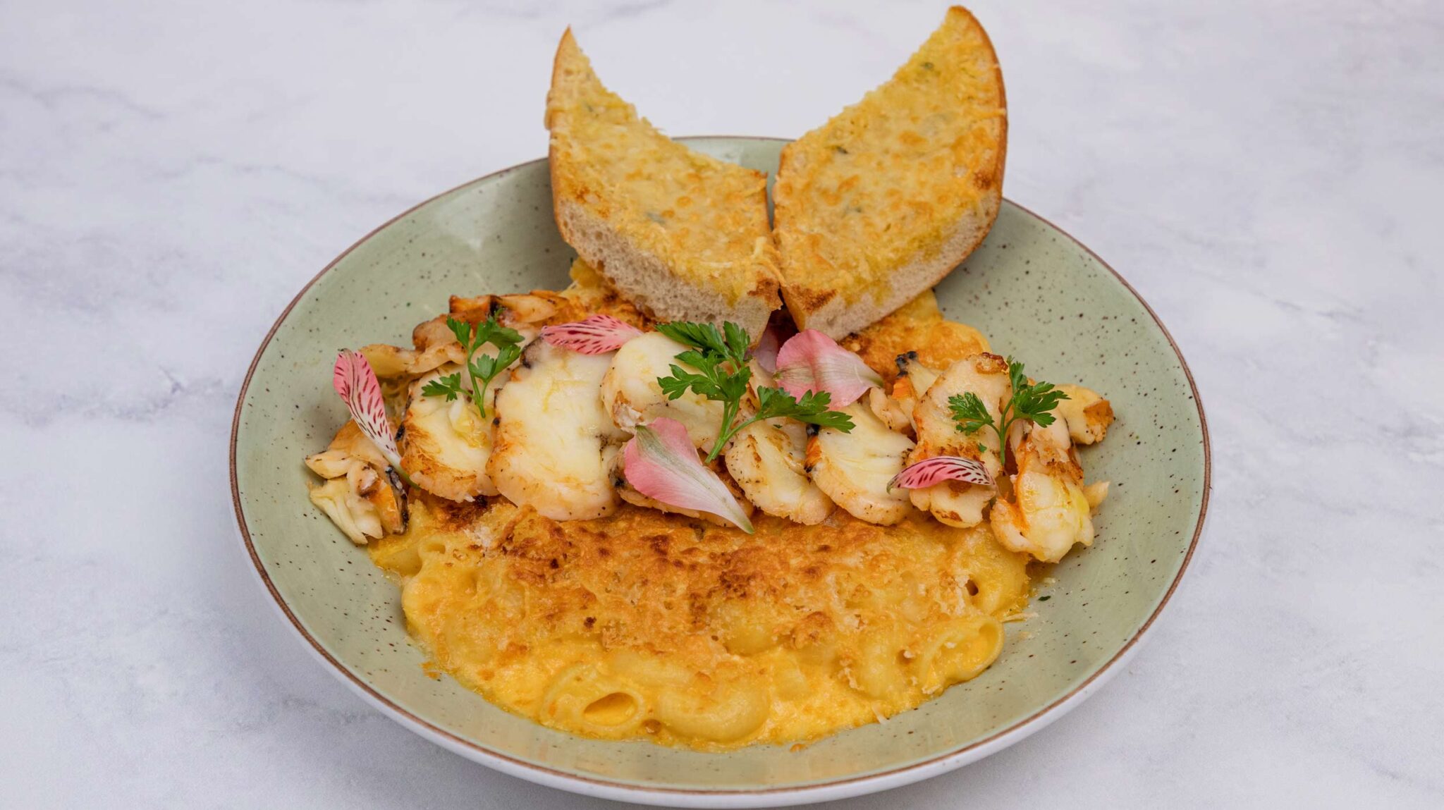 Where to eat the best lobster in Cancun? Fred's Restaurant Cancún